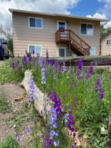 1314 Westend Ave - Photo 1 of 1