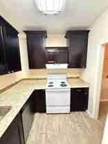 12914 Sanctuary Cove Dr - Photo 1 of 1
