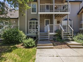 featured image of 2828 Silverplume Dr