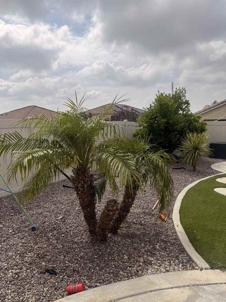 30527 Prairie Sun Way - Photo 5 of 21