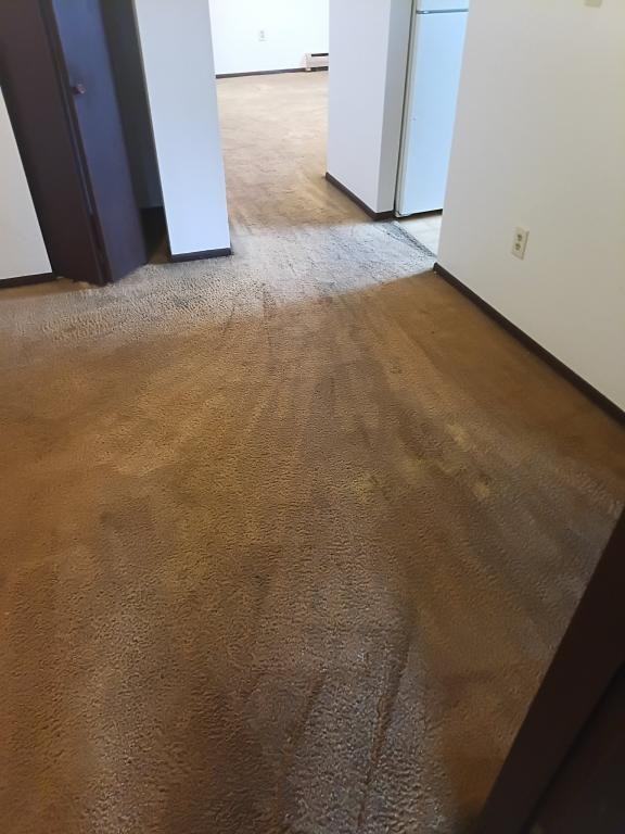 7484 Delmar Way - Photo 5 of 6