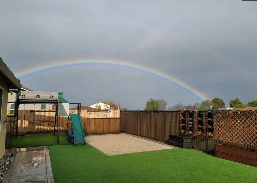 665 Appaloosa Way - Photo 3 of 3