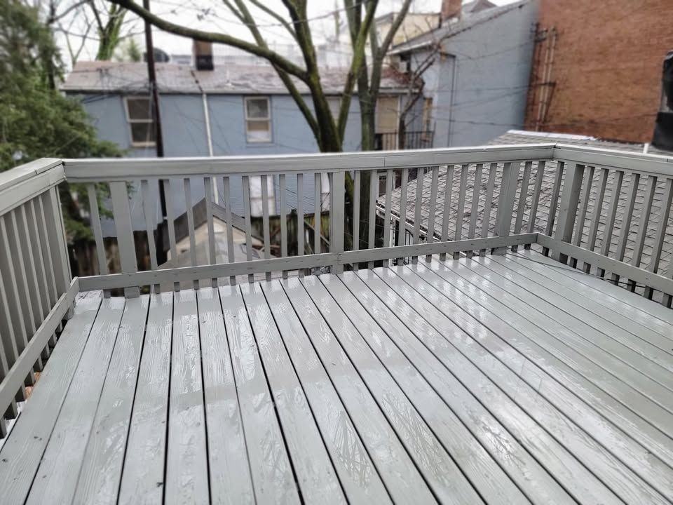 1041 Hollins St - Photo 6 of 13