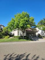1492 Berriedale Ct - Photo 1 of 1