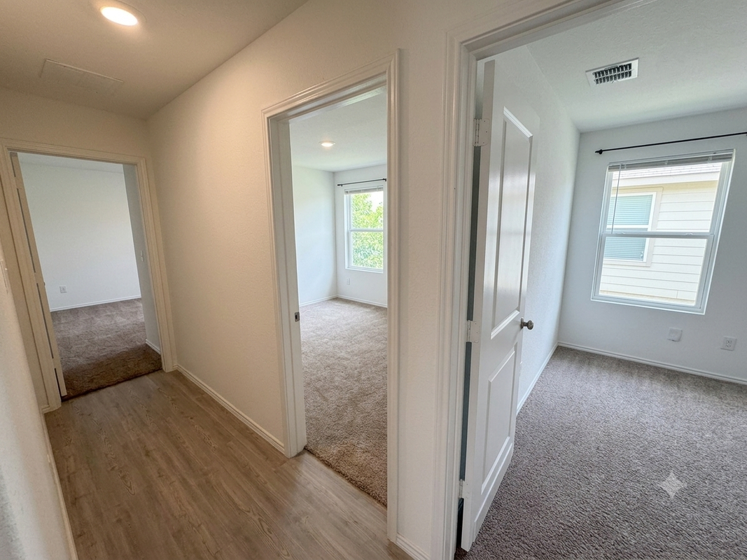 5410 Daphne Path - Photo 4 of 13