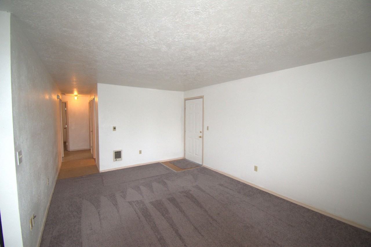 125 E Elmore St - Photo 2 of 12