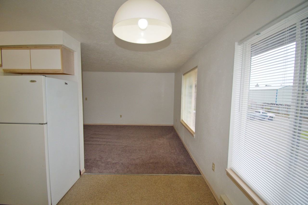 125 E Elmore St - Photo 6 of 12