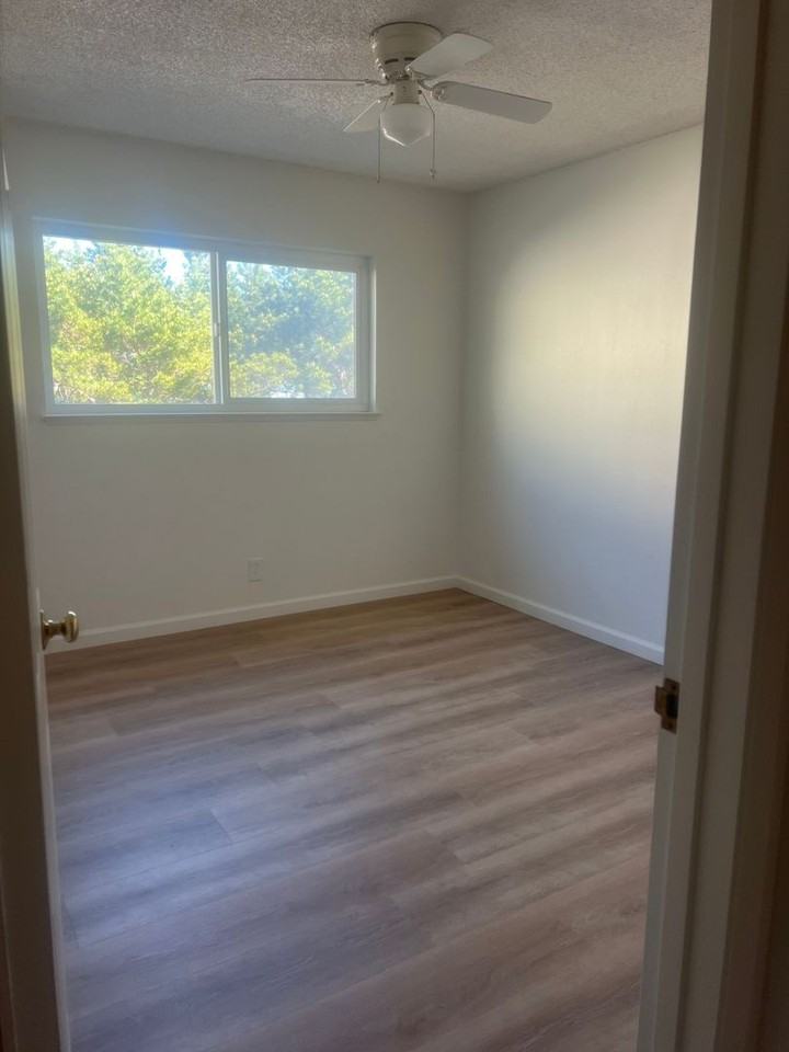 2221 Princeton Dr #11 - Photo 5 of 11