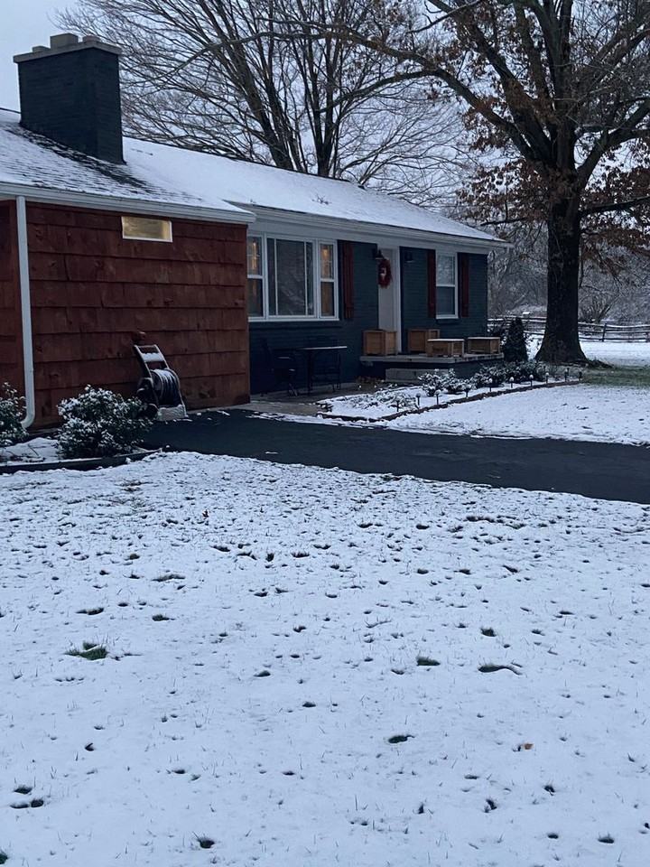 2520 Old Whites Mill Rd - Photo 3 of 21
