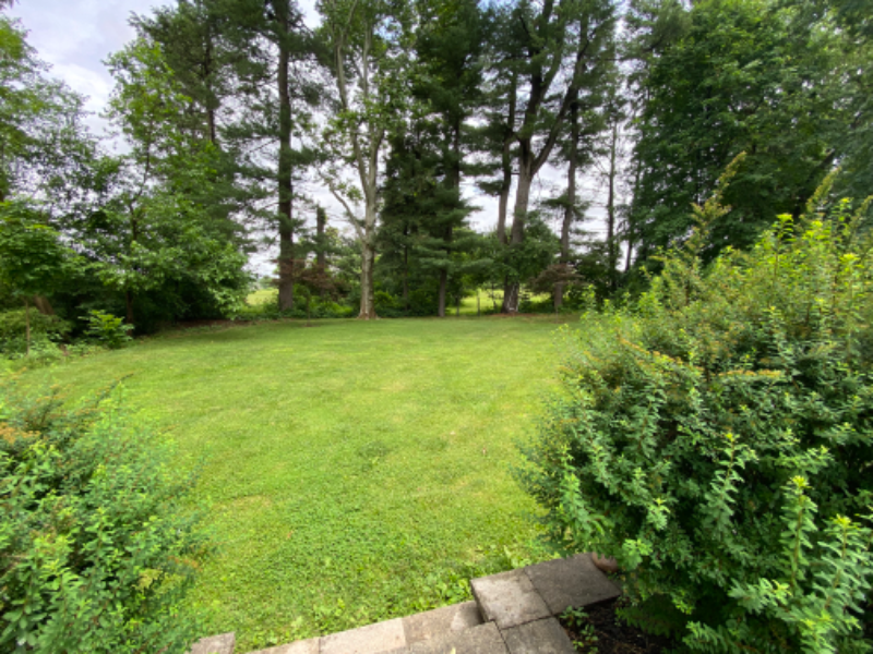 253 Fisher Pl - Photo 4 of 12