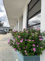 featured image of 6480 Miami Dr #110