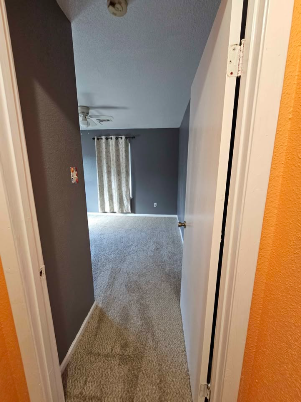 9810 Thorn St - Photo 7 of 17