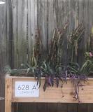 628 Leach St #A - Photo 1 of 1