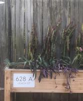 featured image of 628 Leach St #A