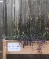 628 Leach St #A - Photo 1 of 1