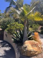 featured image of 1122 Palomino Rd #MAIN