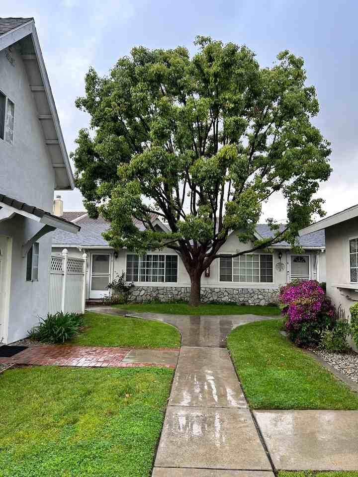 613 S 5th Ave #C - Photo 2 of 14