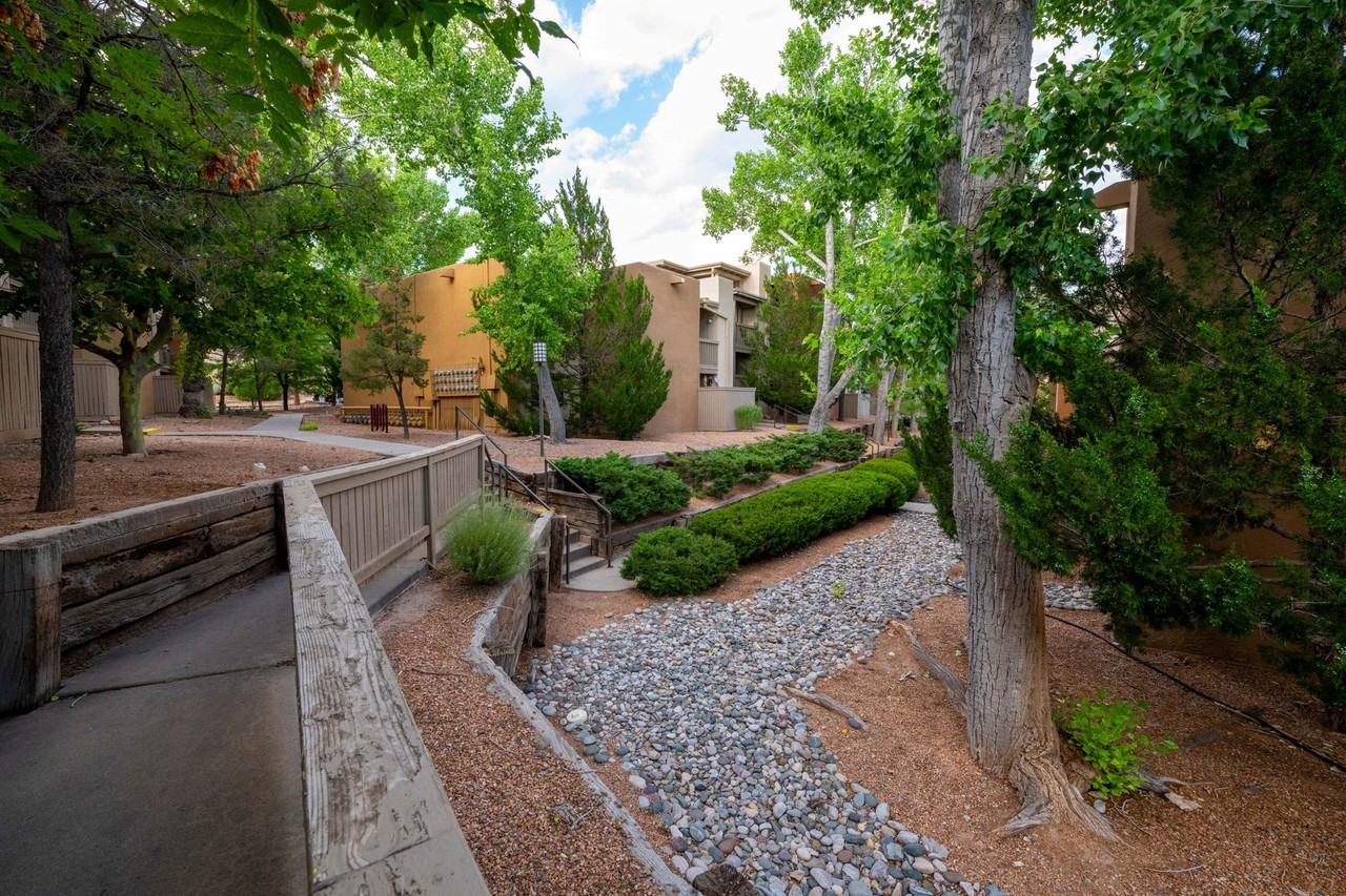 941 Calle Mejia #907 - Photo 7 of 25