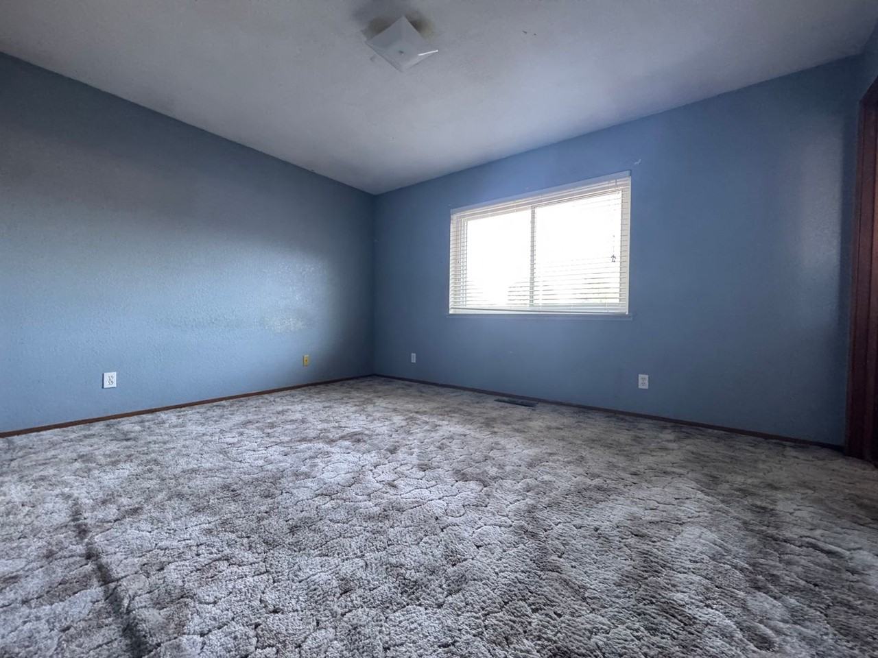 615 Shawn Way - Photo 4 of 12