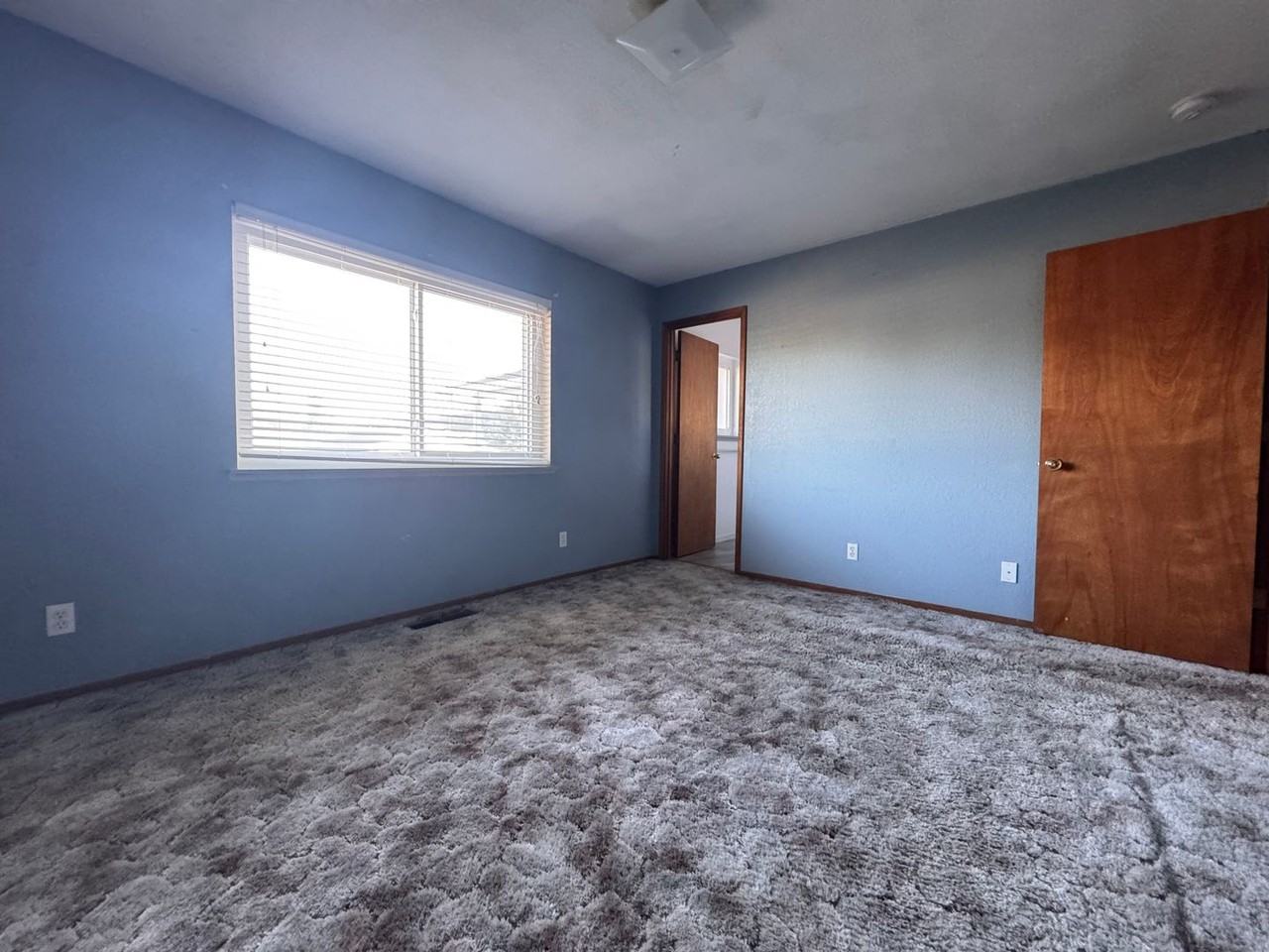 615 Shawn Way - Photo 5 of 12