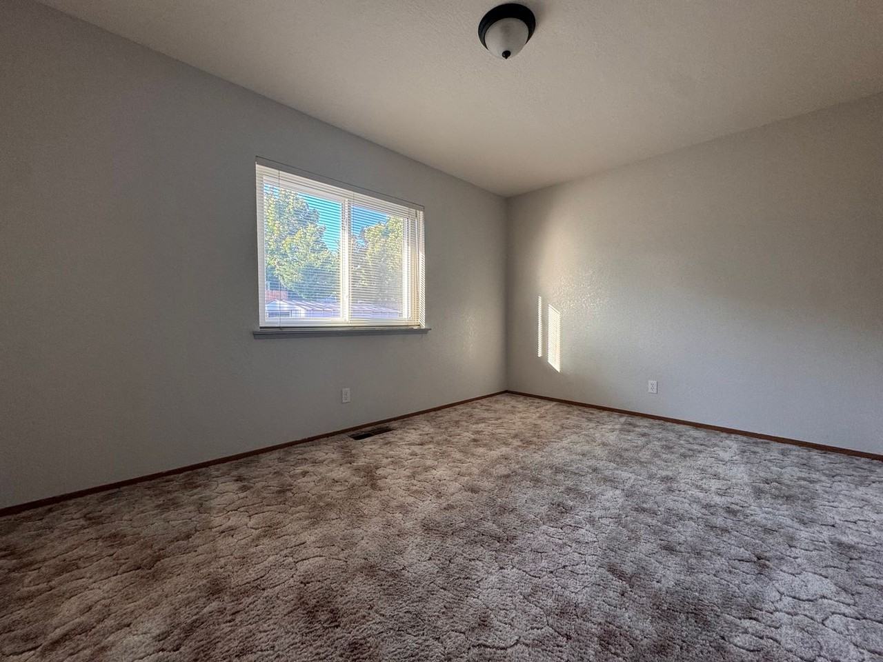 615 Shawn Way - Photo 7 of 12