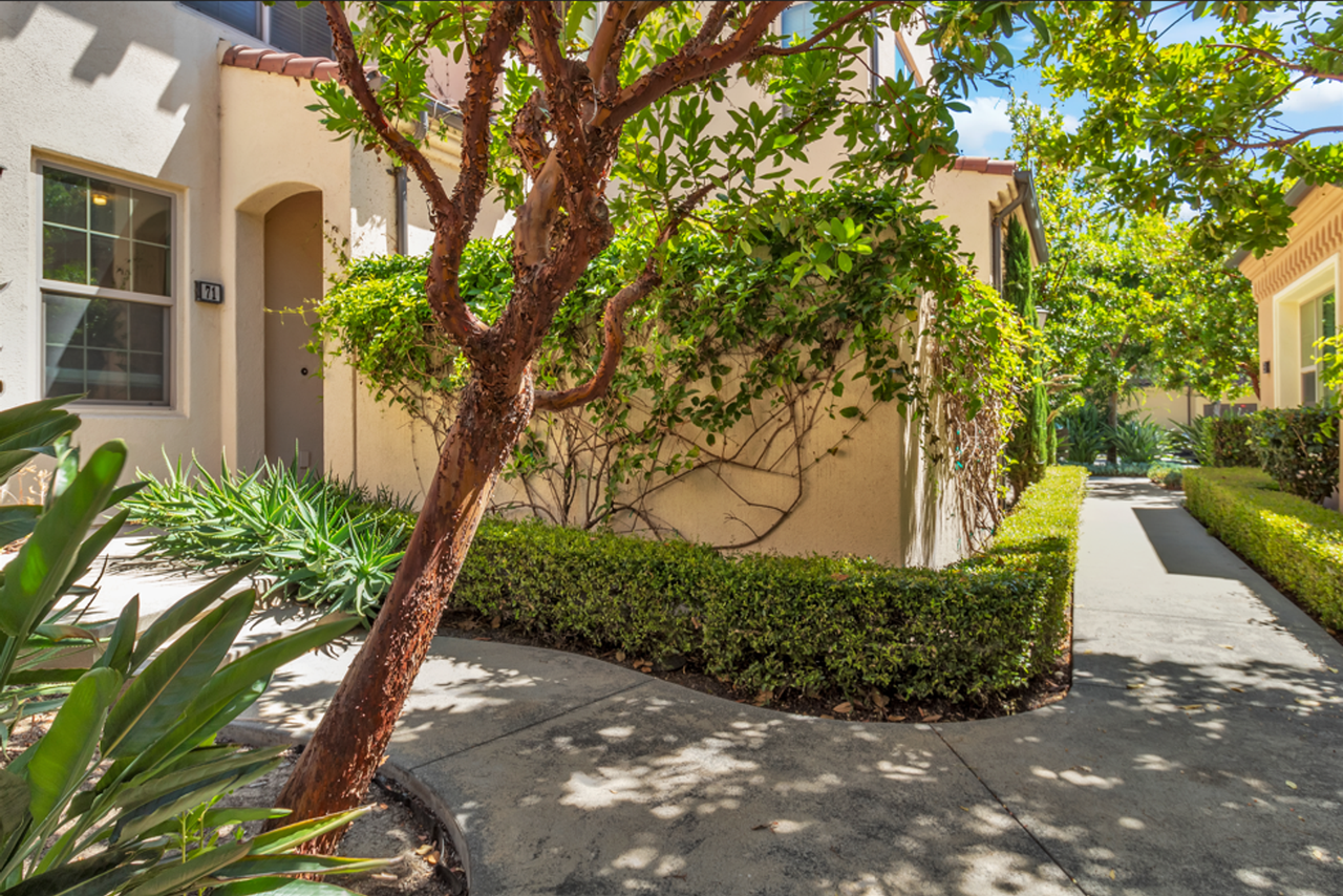 71 Tallowood - Photo 3 of 34
