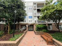 5565 Seminary Rd #404 - Photo 1 of 1