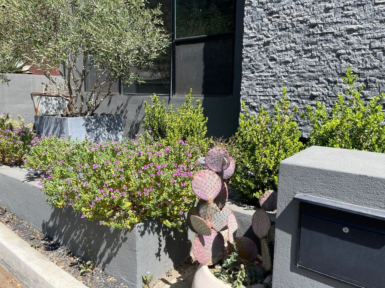 1854 Franklin Canyon Dr - Photo 3 of 48