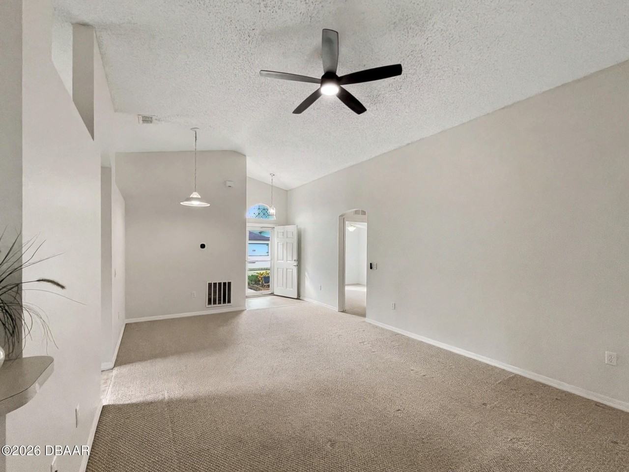 342 Dahoon Holly Dr - Photo 3 of 24