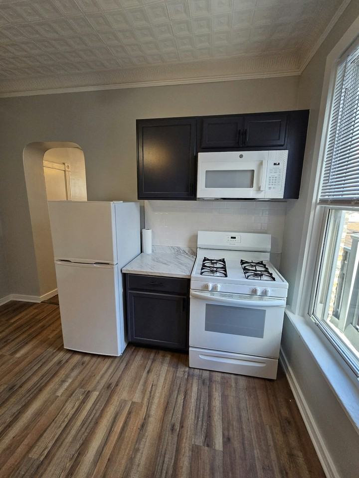 3611 S Wood St, Unit 2R - Photo 6 of 24