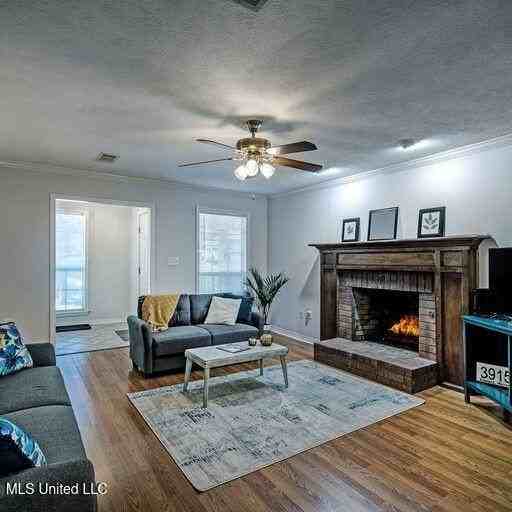 317 Peach Orchard Dr - Photo 3 of 13