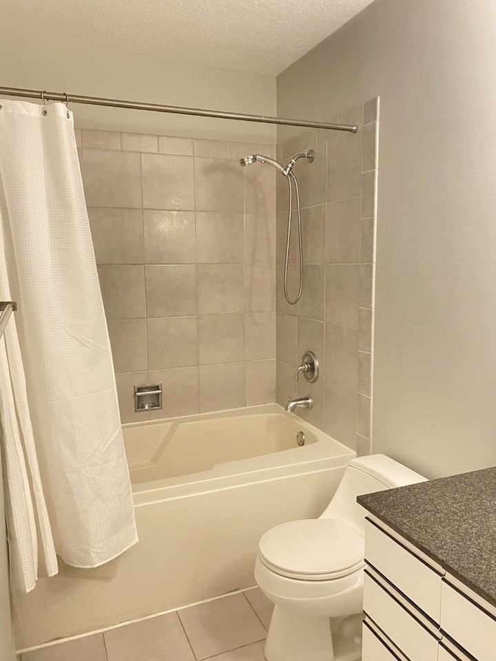 512 N Mcclurg Ct #1612 - Photo 7 of 17