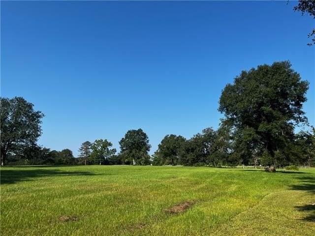 475 Deerfield Rd - Photo 6 of 35