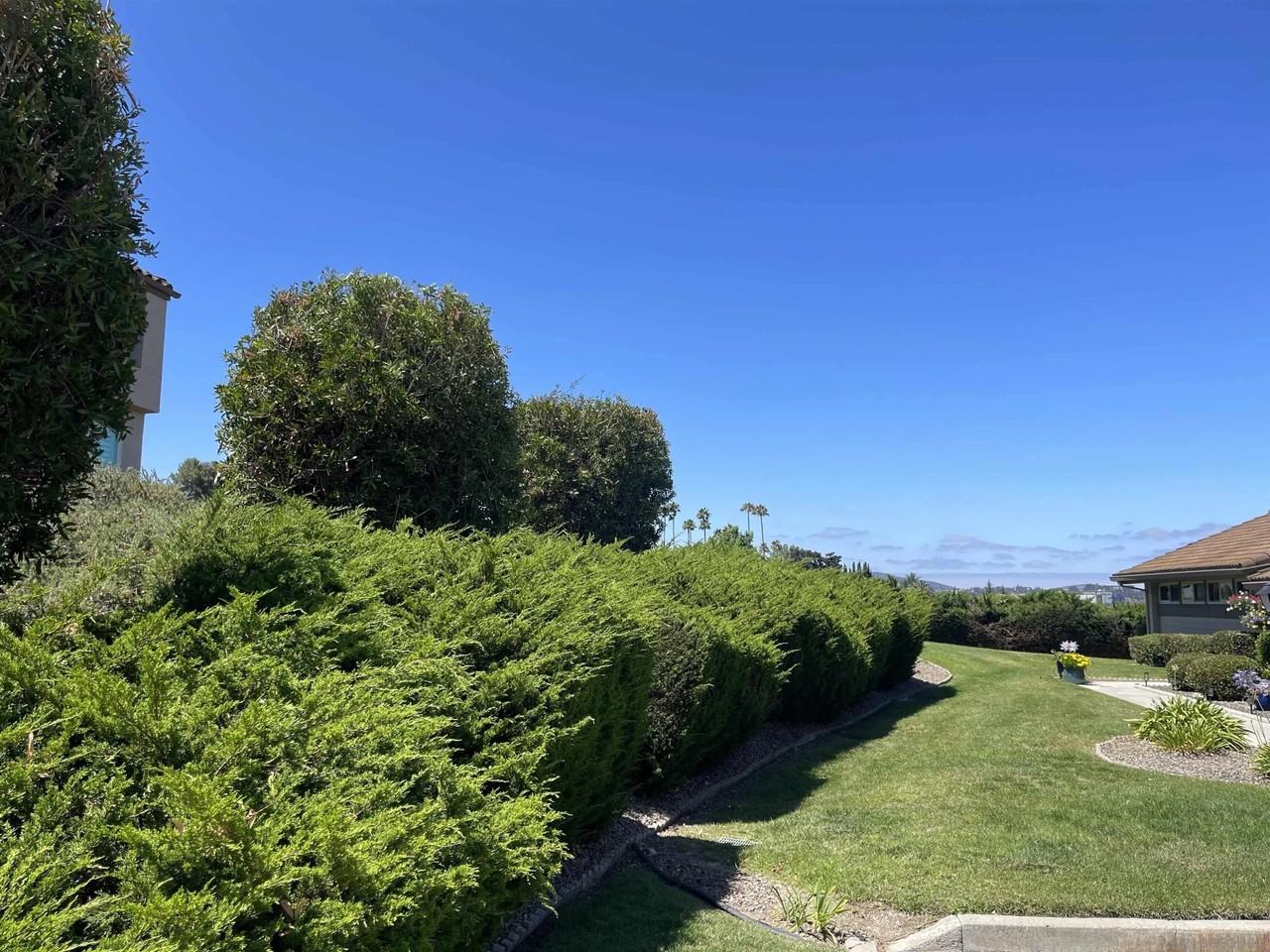 17309 Plaza Maria - Photo 3 of 5