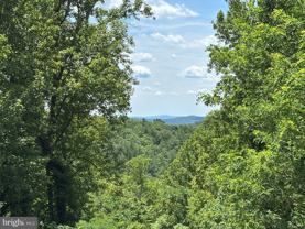 59 Hungry Horse Ln - Photo 1 of 1