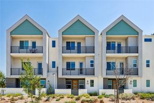 275 Sash - Photo 1 of 1