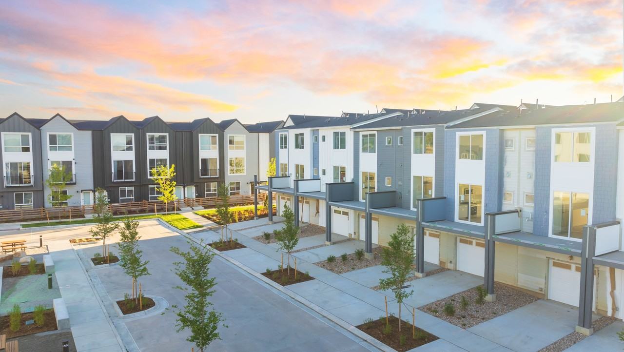 Lupine Longmont - Photo 2 of 19