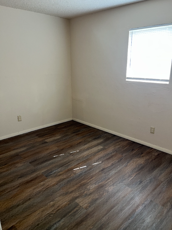 705 Hall St - Photo 6 of 9
