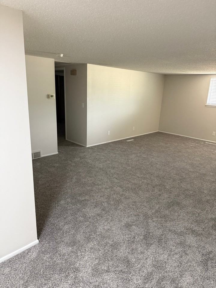 909 W River Blvd - Photo 3 of 17