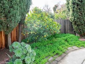 2075 Lockwood Dr #NA - Photo 1 of 1