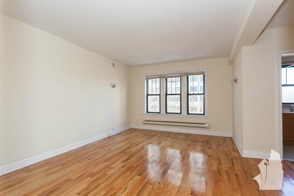 1347 N Dearborn St #604 - Photo 3 of 7