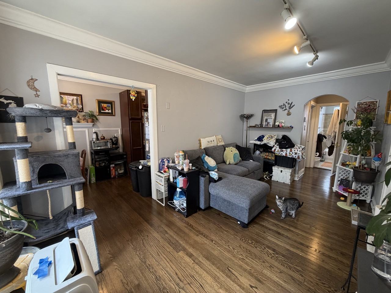 842 W Ainslie St #1 - Photo 2 of 8