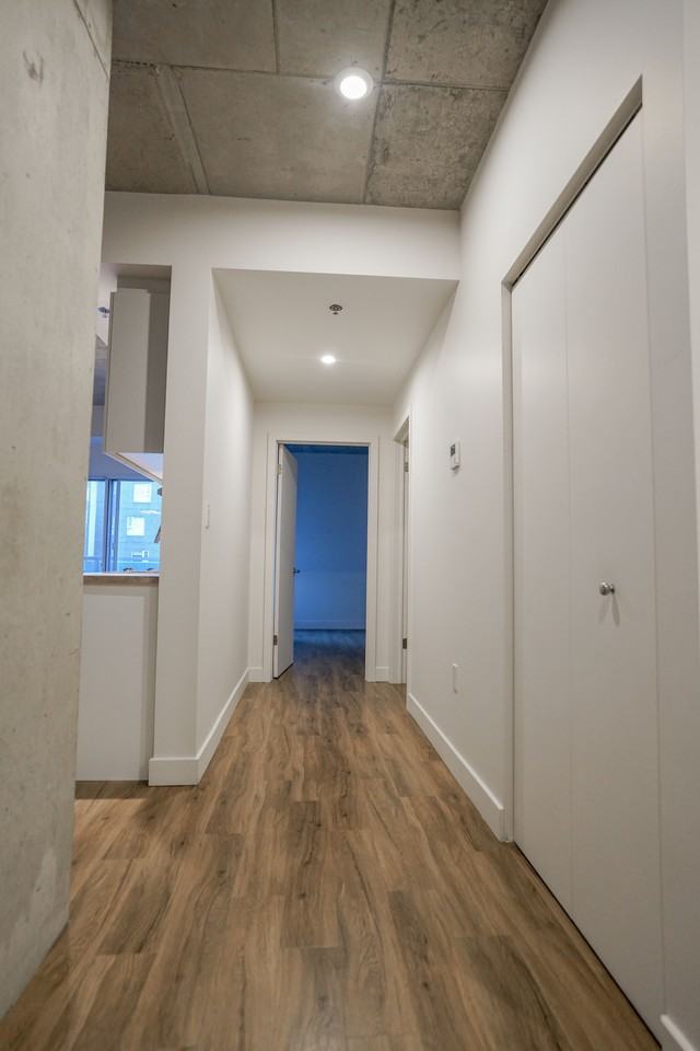 2542 Place Pierre-Falardeau — photo 3