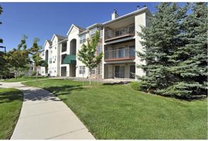 featured image of 12208 W Dorado Pl