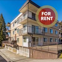 featured image of 630 Clarke Road #309