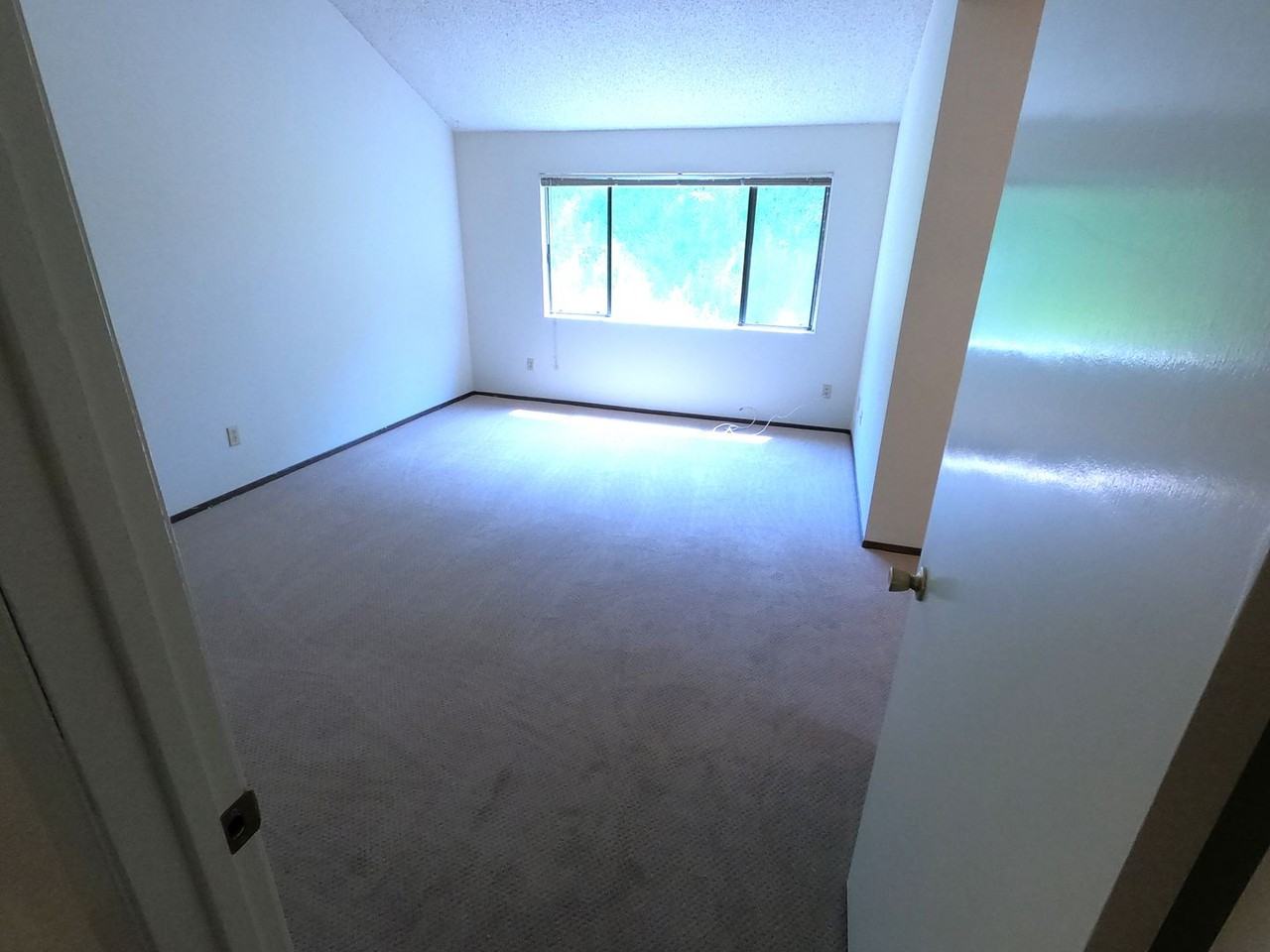 46 Aronia Ln - Photo 6 of 21