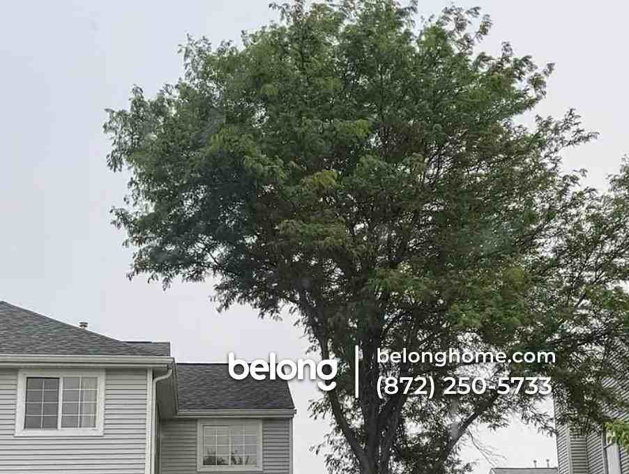 1157 E Cambria Ln S - Photo 2 of 7