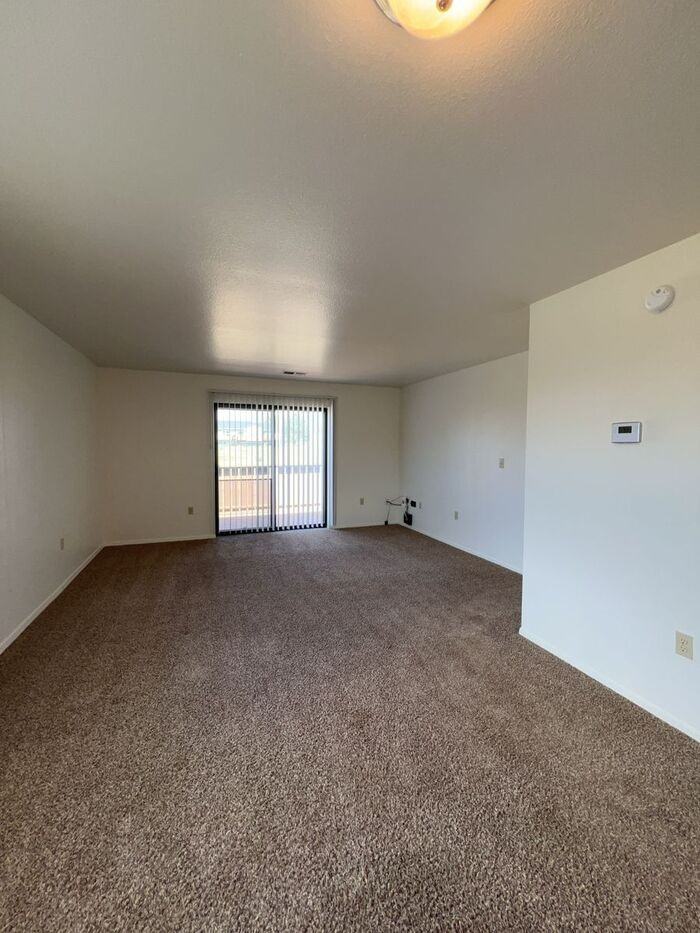 342 Sacajawea Ct - Photo 5 of 8