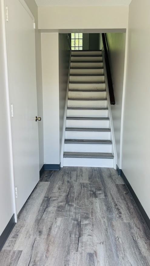 501 Timberidge Dr #501 - Photo 2 of 12