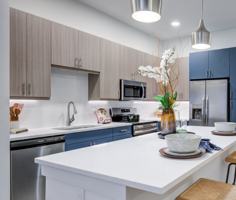 featured image of 4920 Live Oak Street
